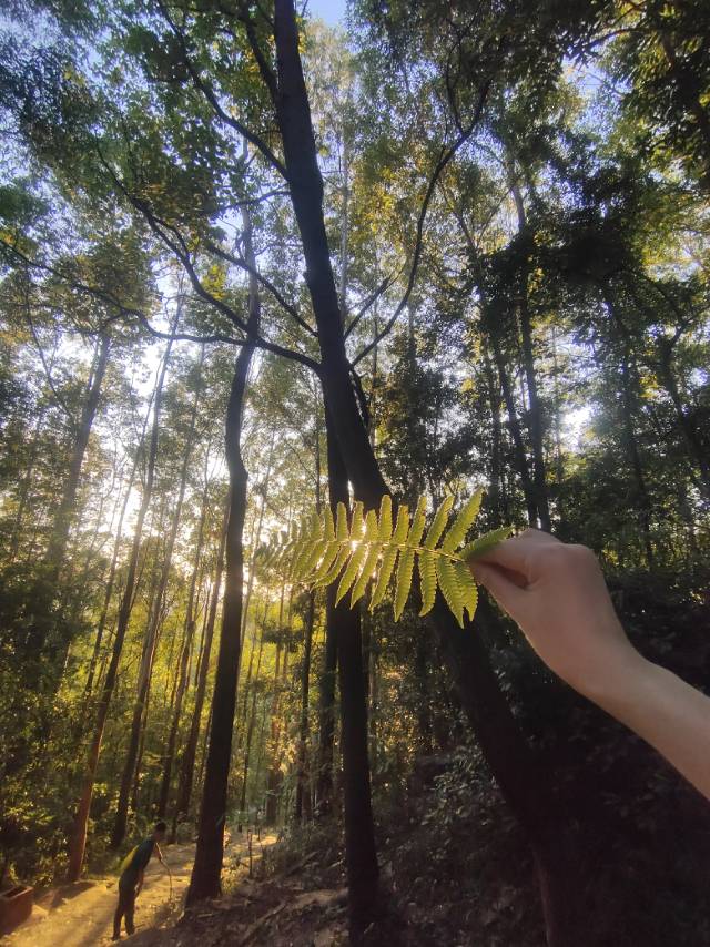 找学习工作搭子
