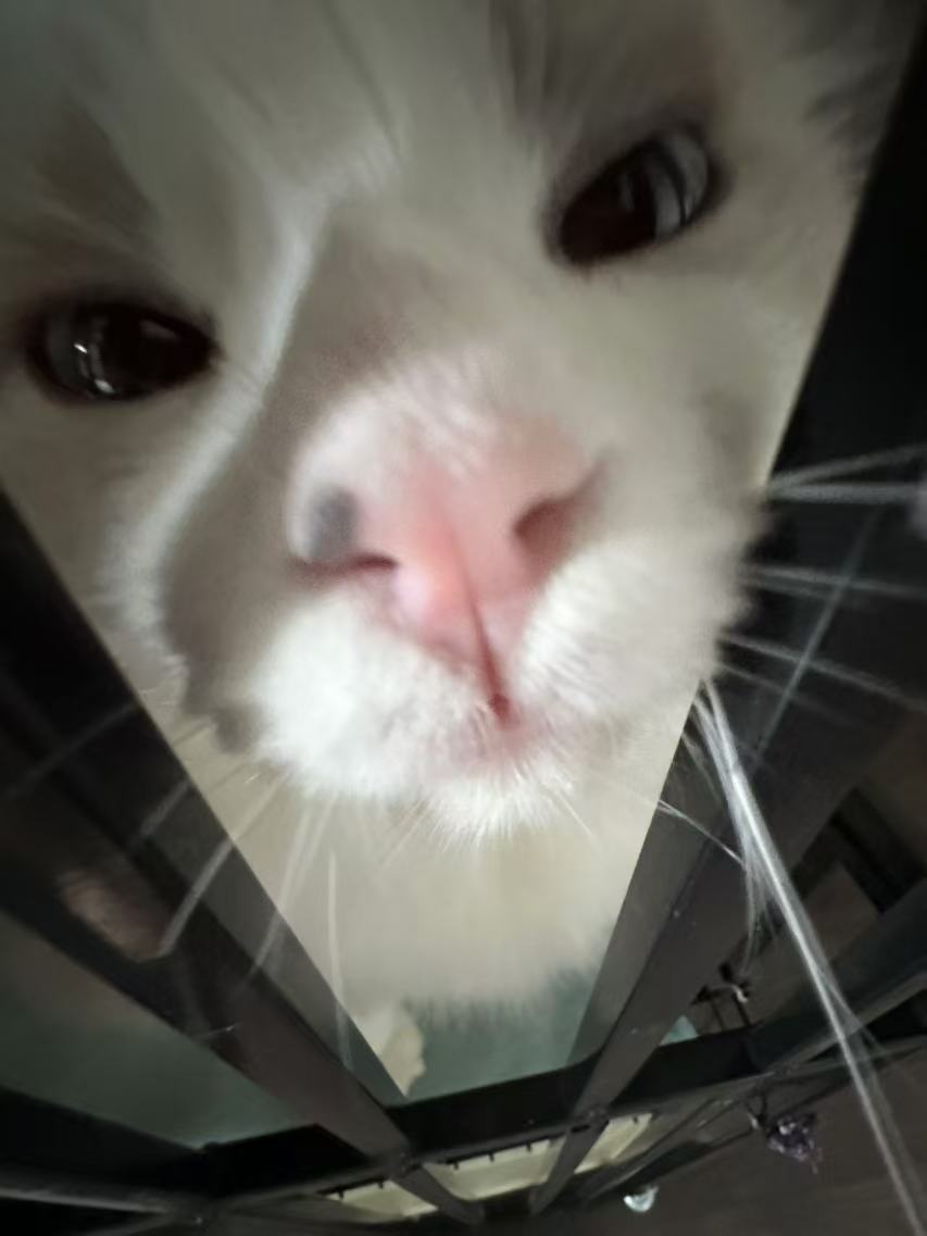 找台球搭子