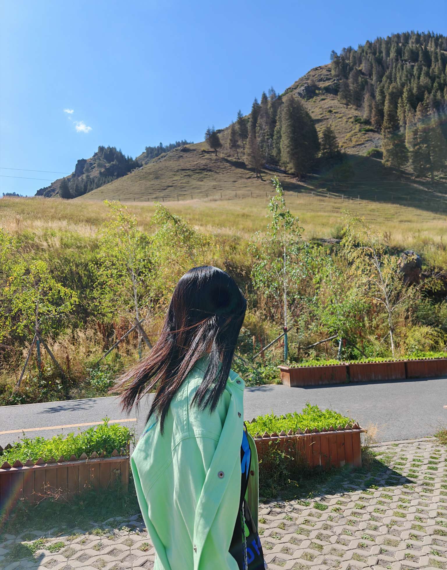 找音乐或运动搭子