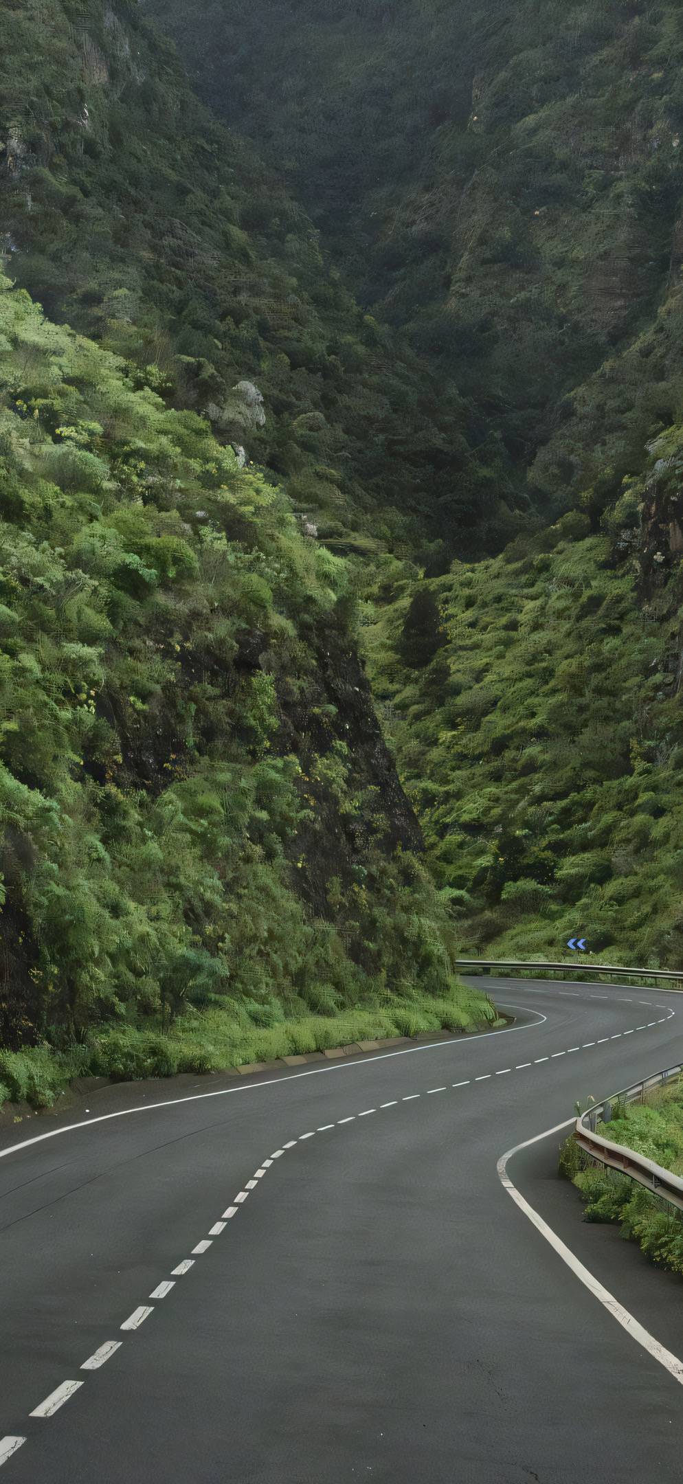 找吃喝玩乐搭子