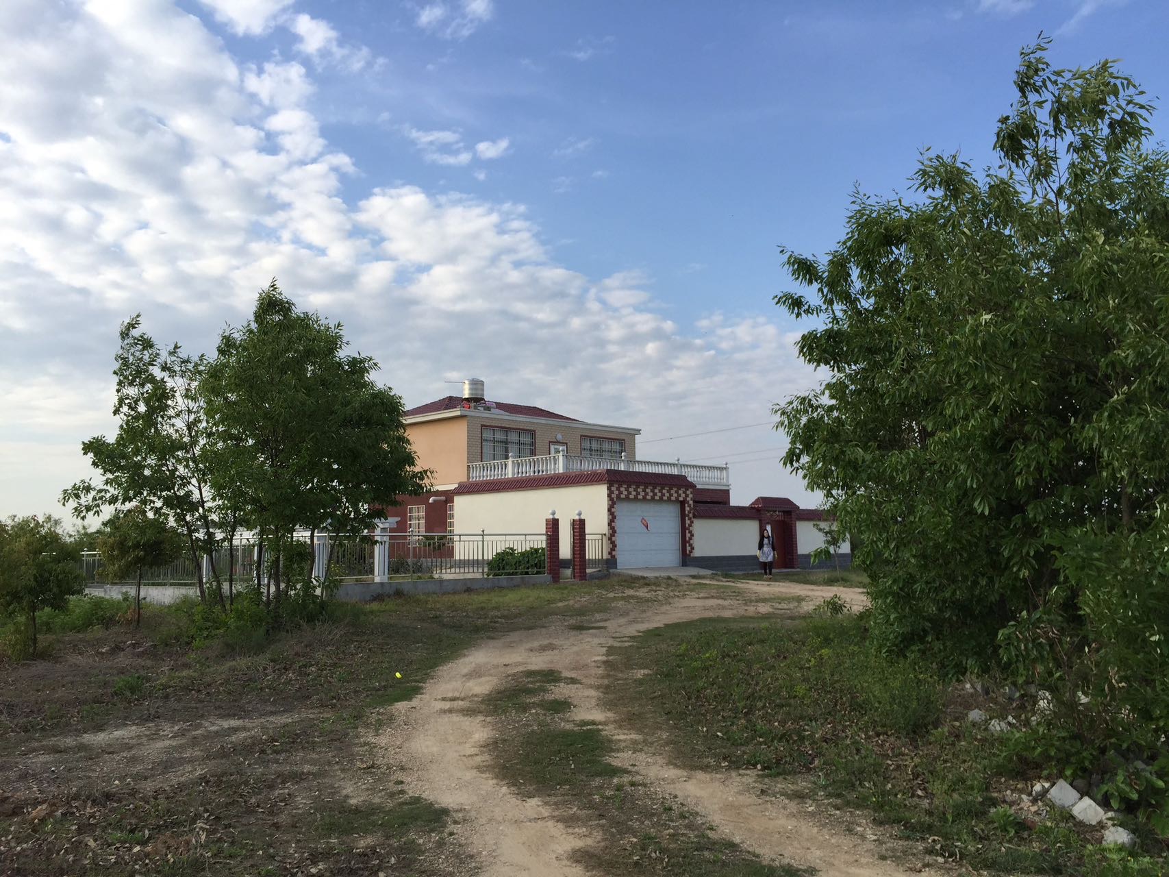 找散步聊天搭子