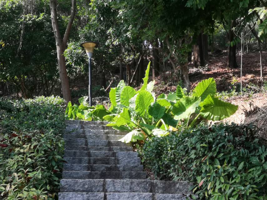 找学习搭子