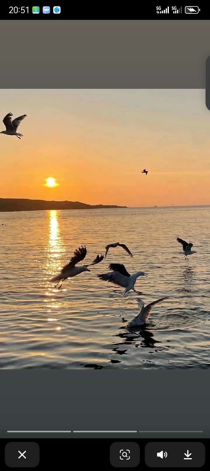 找逛街吃饭搭子