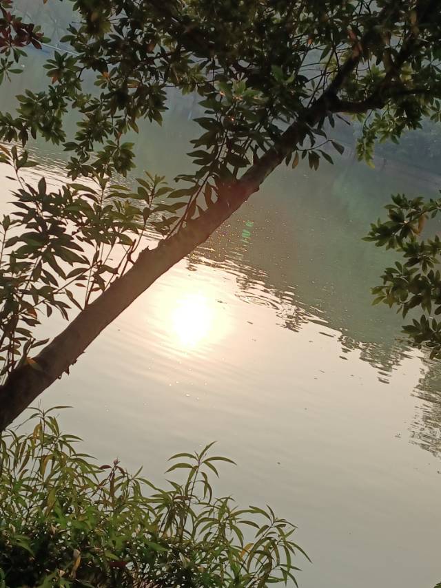 找周日爬山搭子