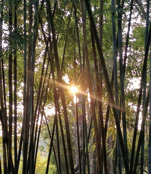 找周日爬山搭子