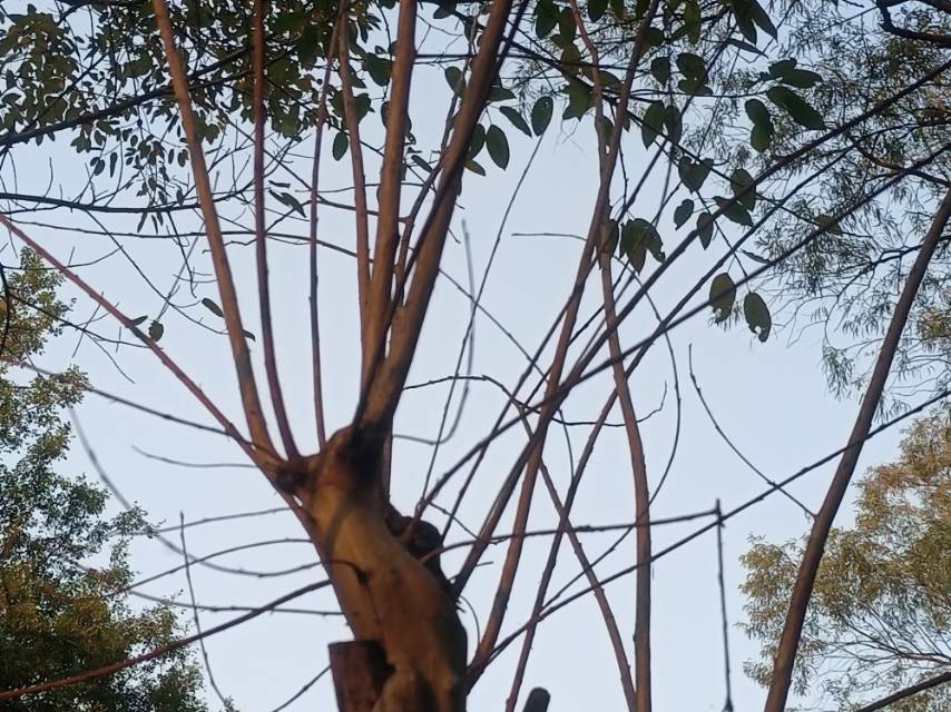 找周日爬山搭子