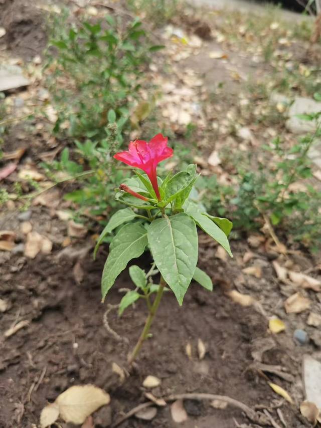 找唱歌喝酒聊天搭子