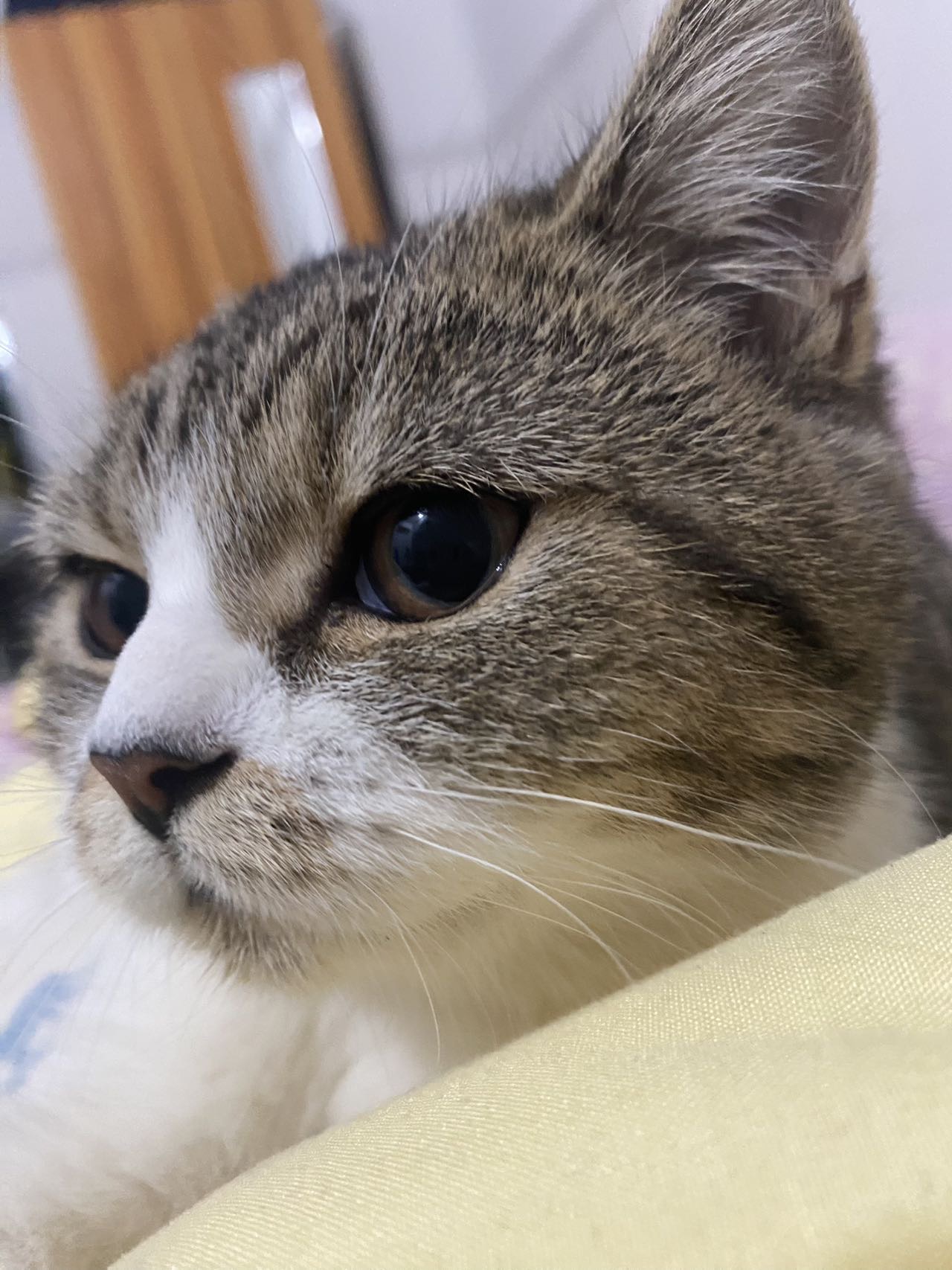 找运动搭子