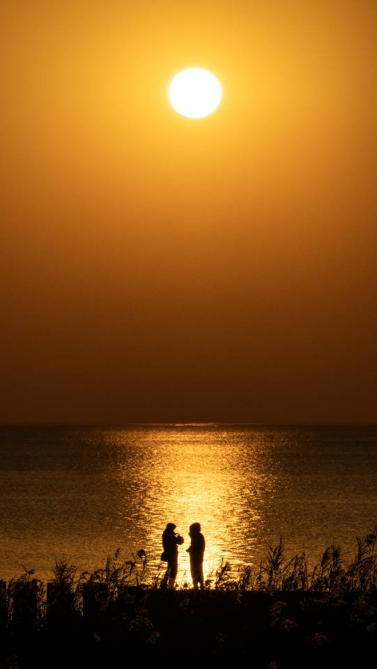 找打发时间搭子