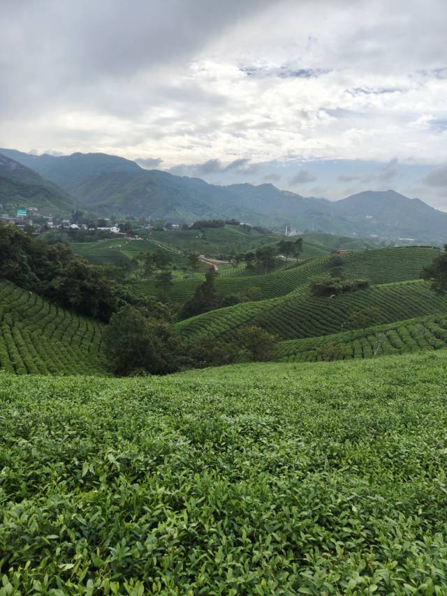 找运动旅游搭子