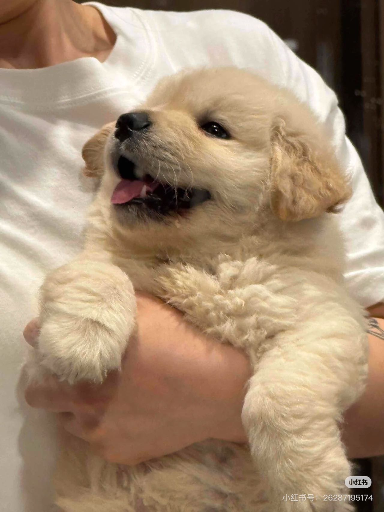 找业余生活搭子