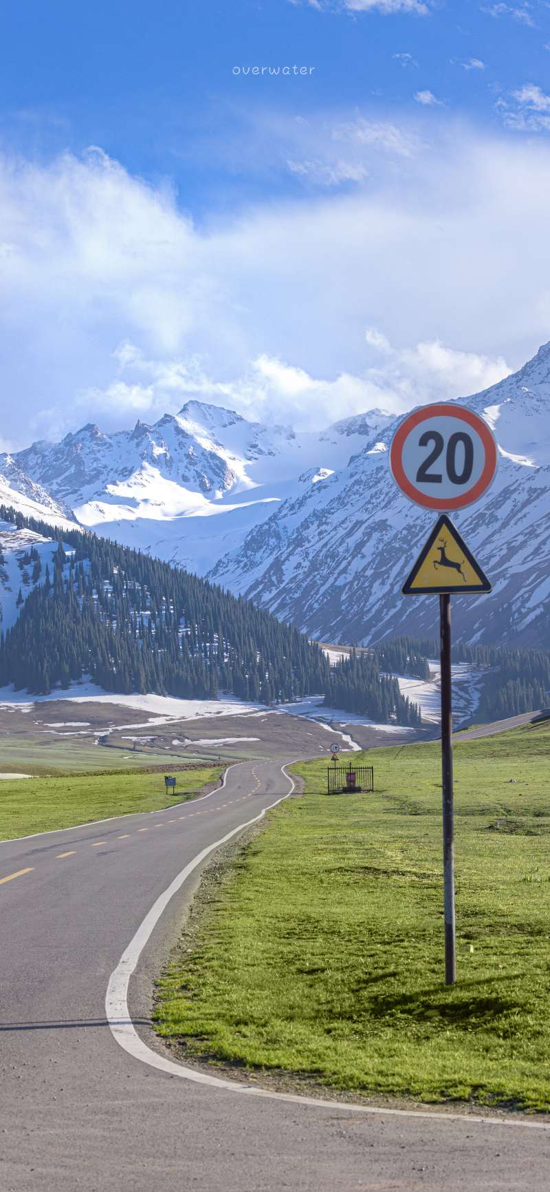 找聊天分享搭子