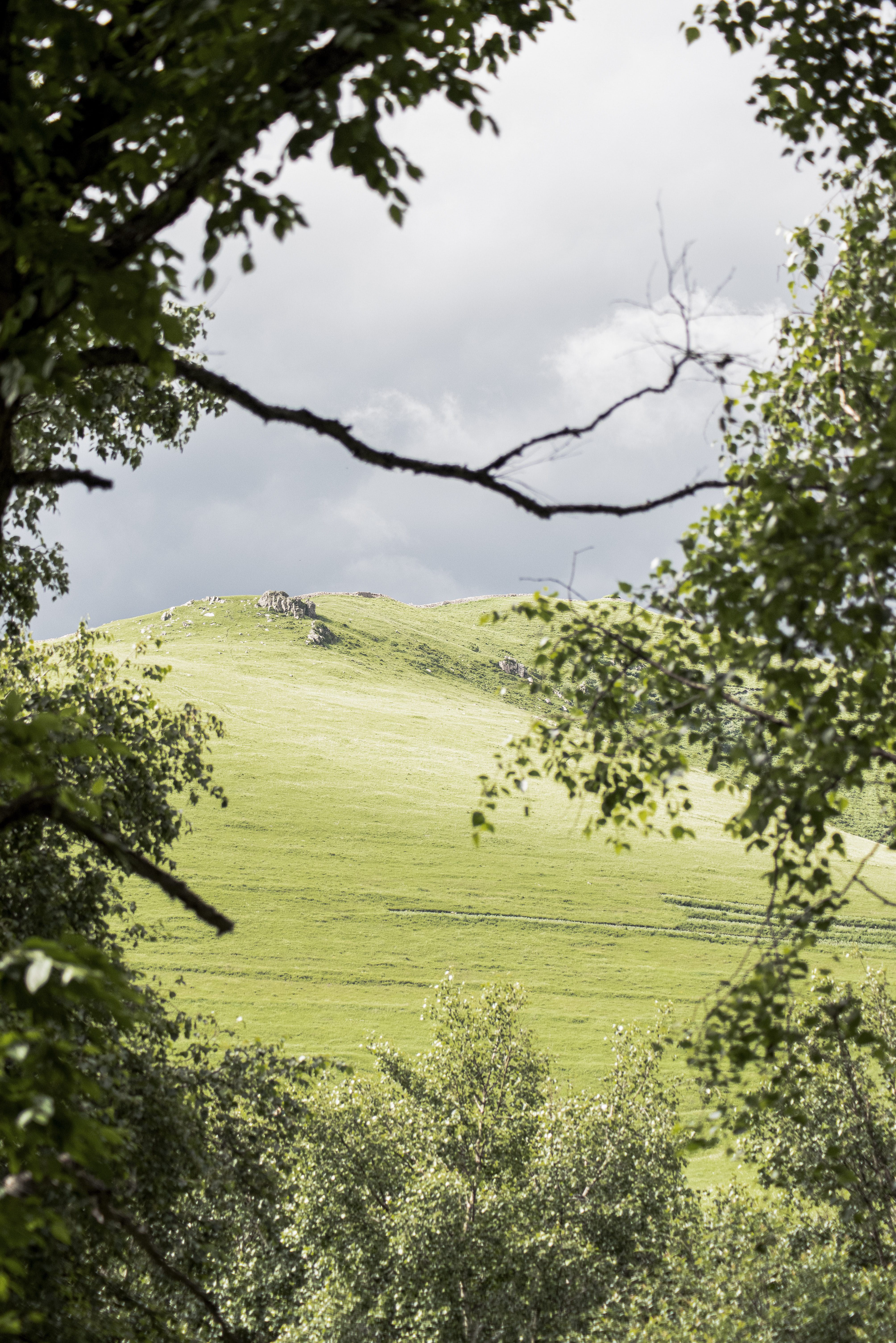 找徒步摄影搭子