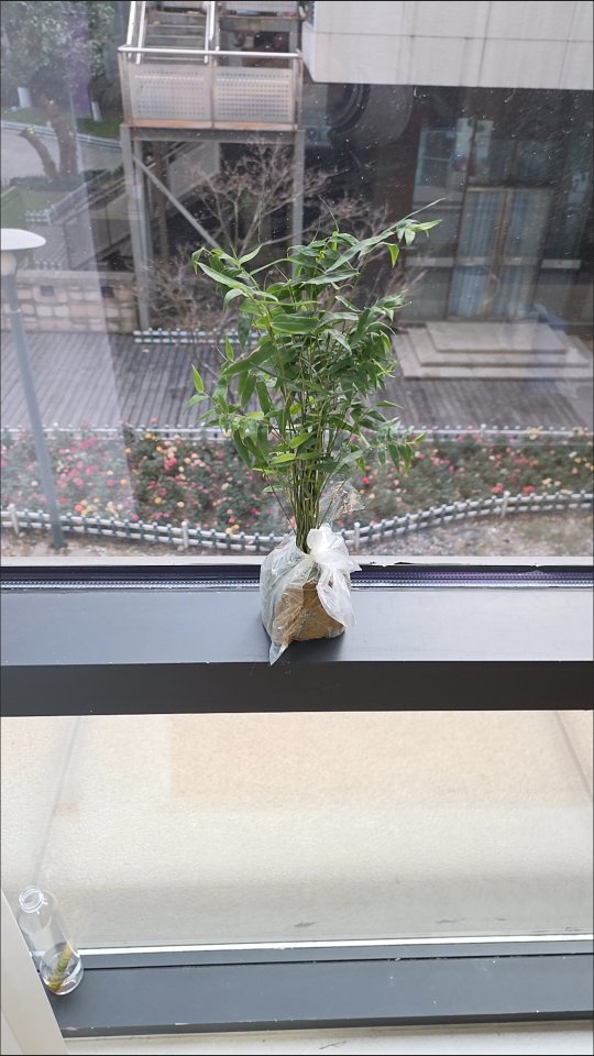 找软件工程搭子