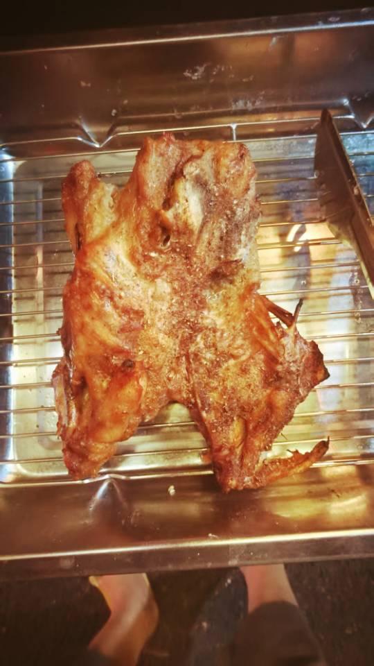 找真诚陪伴搭子