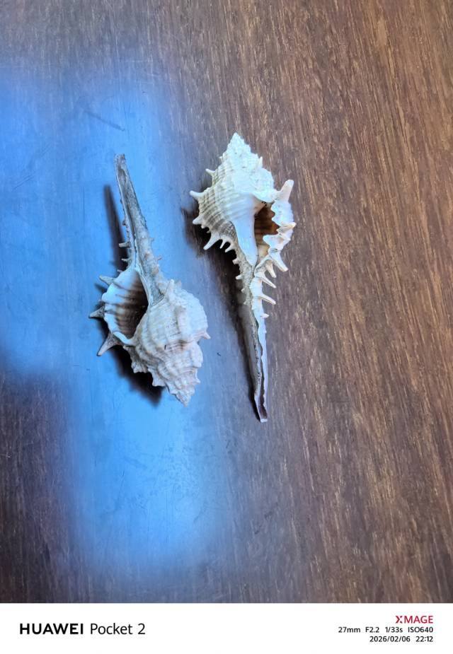 找自驾环海南岛的搭子