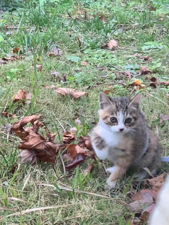 找遵义本地的搭子