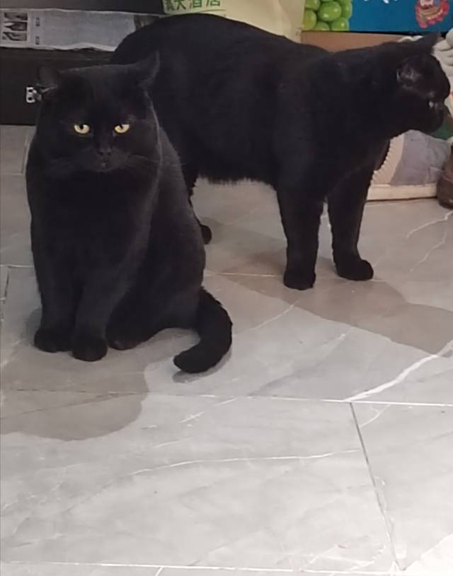 找聊天游戏搭子