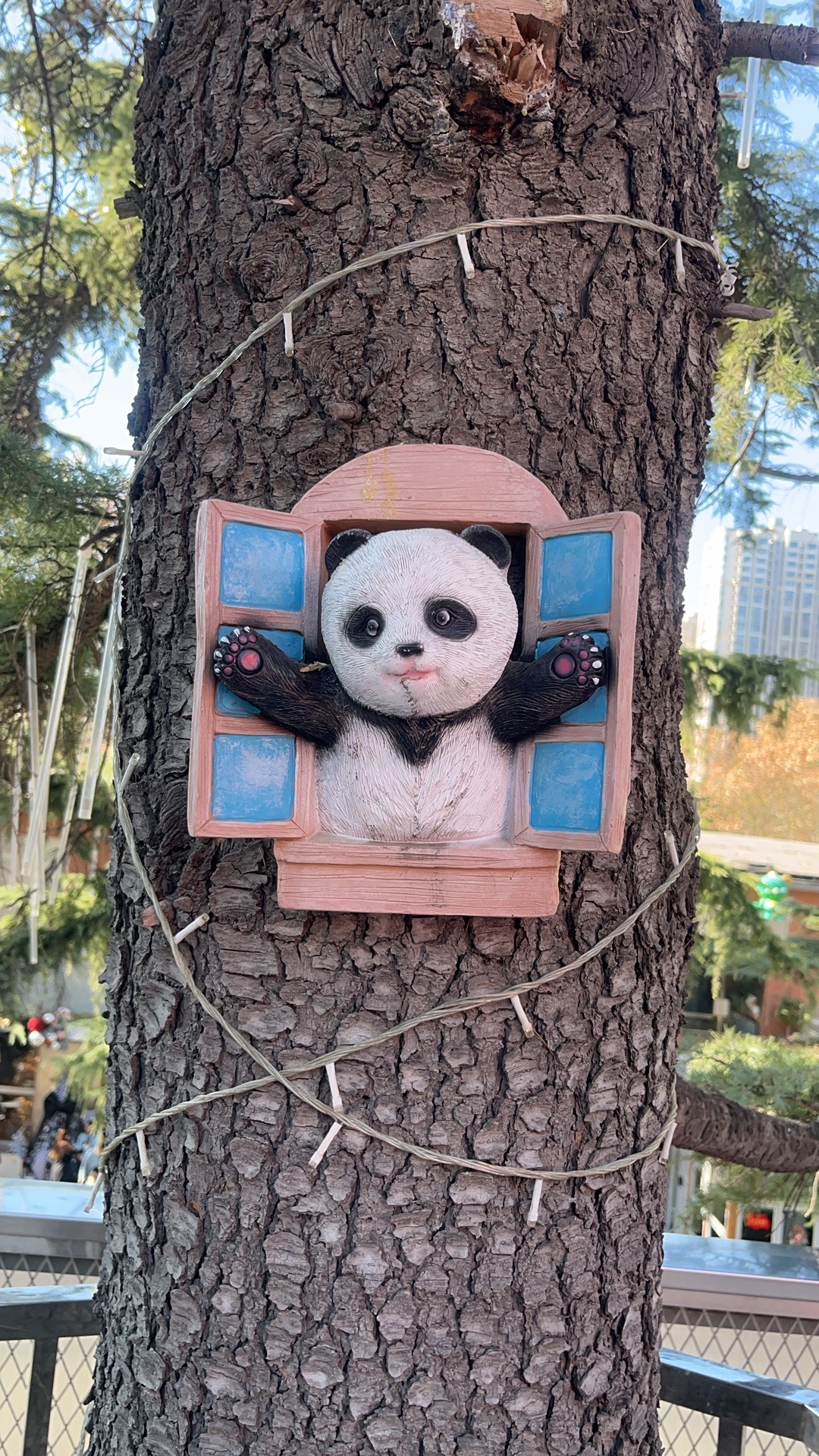 找台球搭子