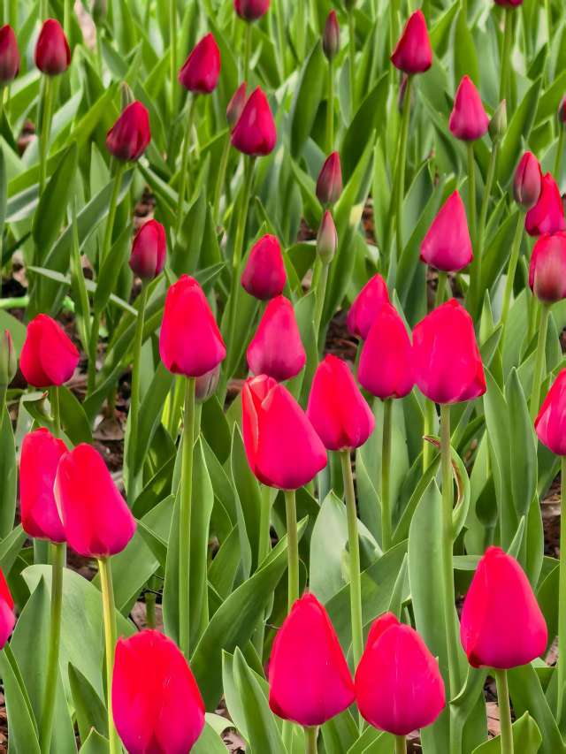 找互相鼓励搭子