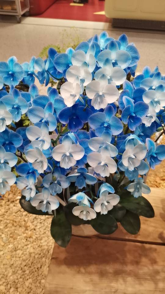 找国内自驾游搭子