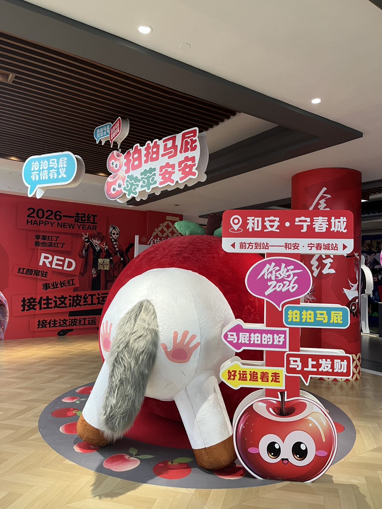 找活泼开朗的搭子