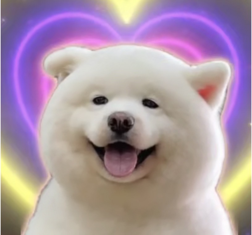 找运动搭子