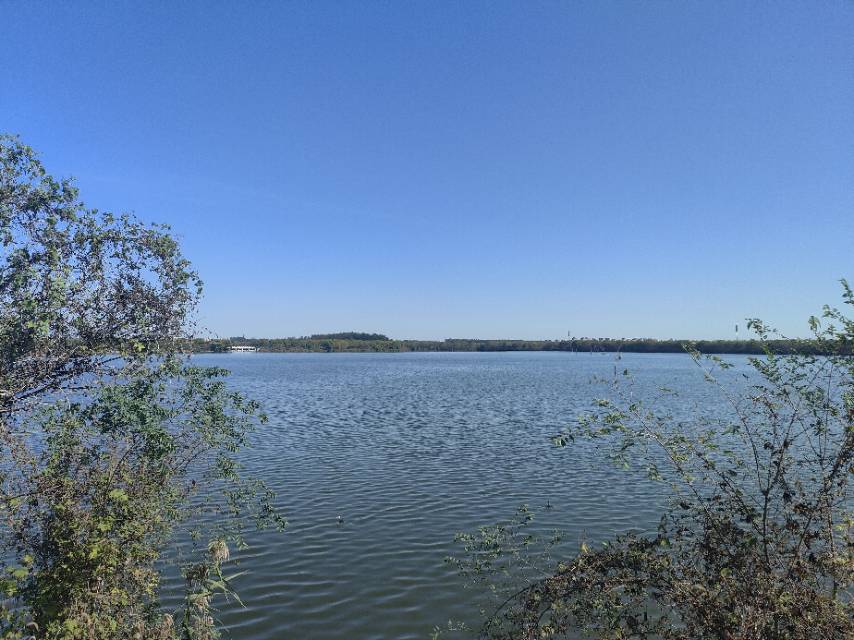 找性格开朗搭子