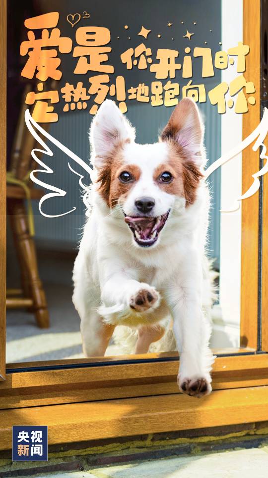 找过情人节搭子