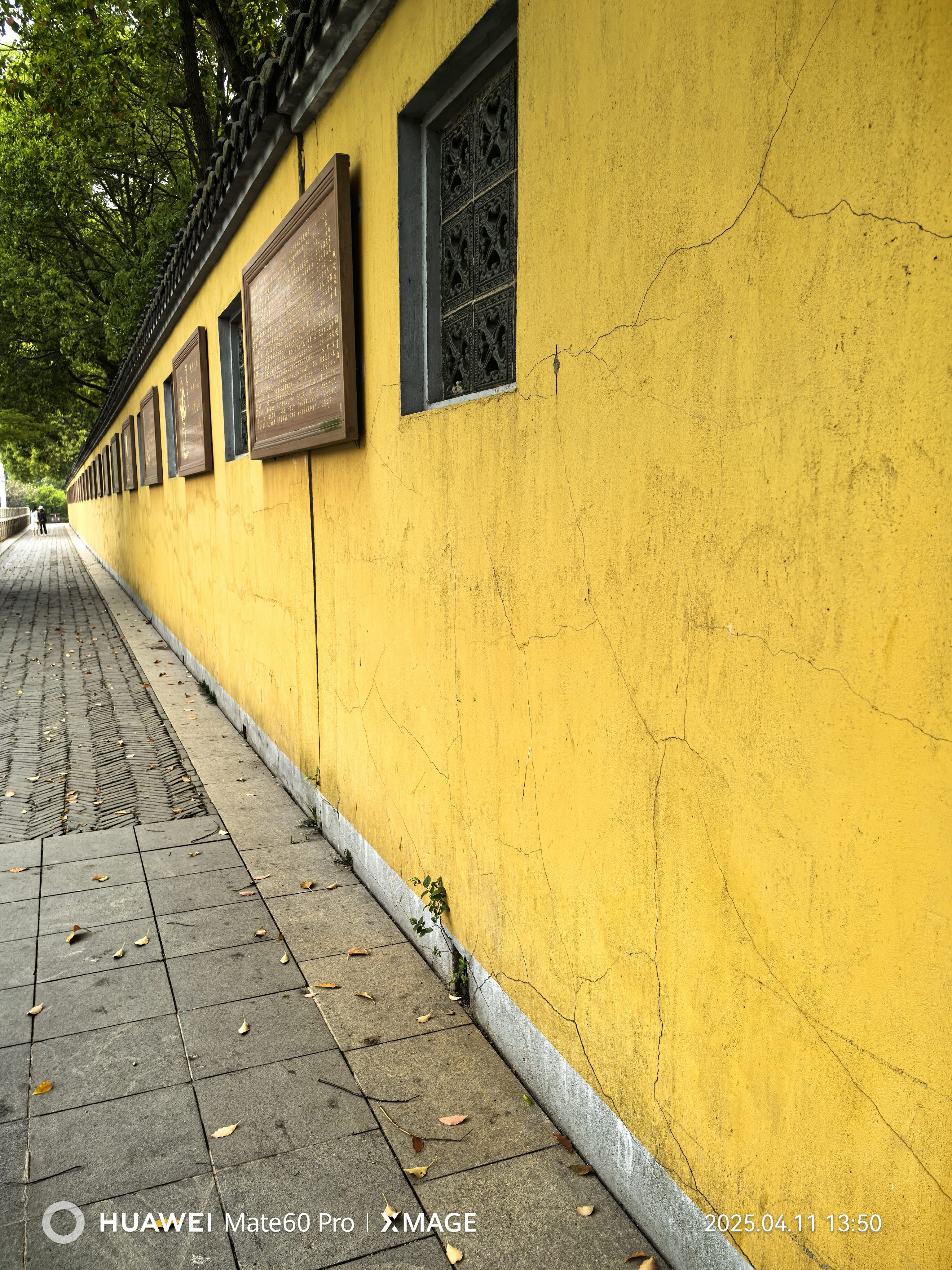 找共同进步搭子