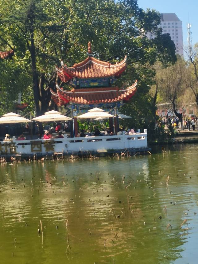 找逛街旅行者搭子