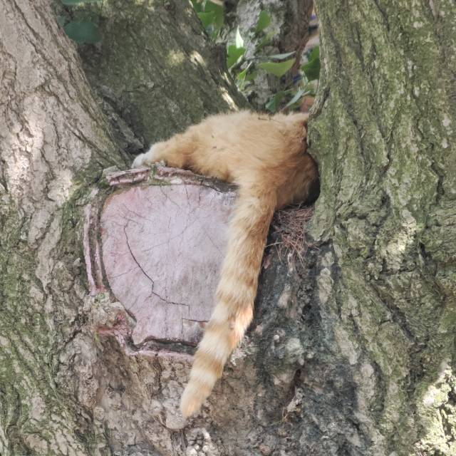 找旅游搭子
