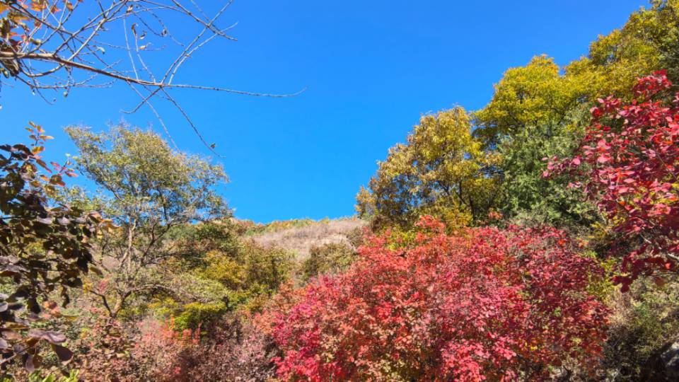 找运动旅行搭子