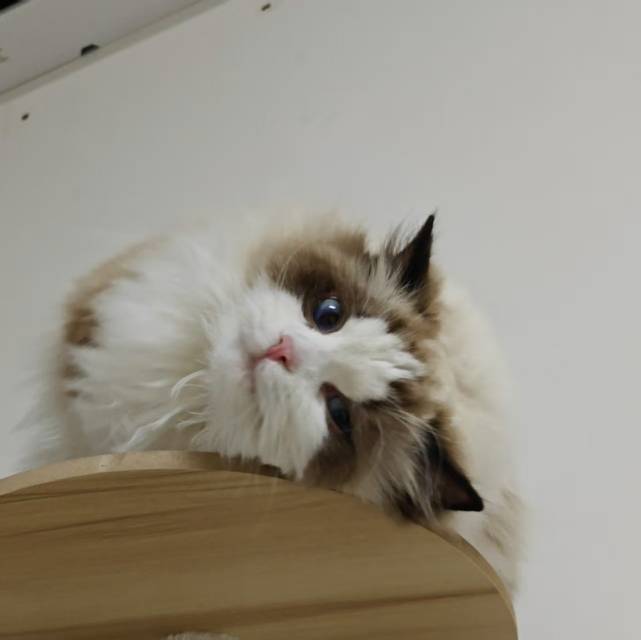 找运动游戏搭子