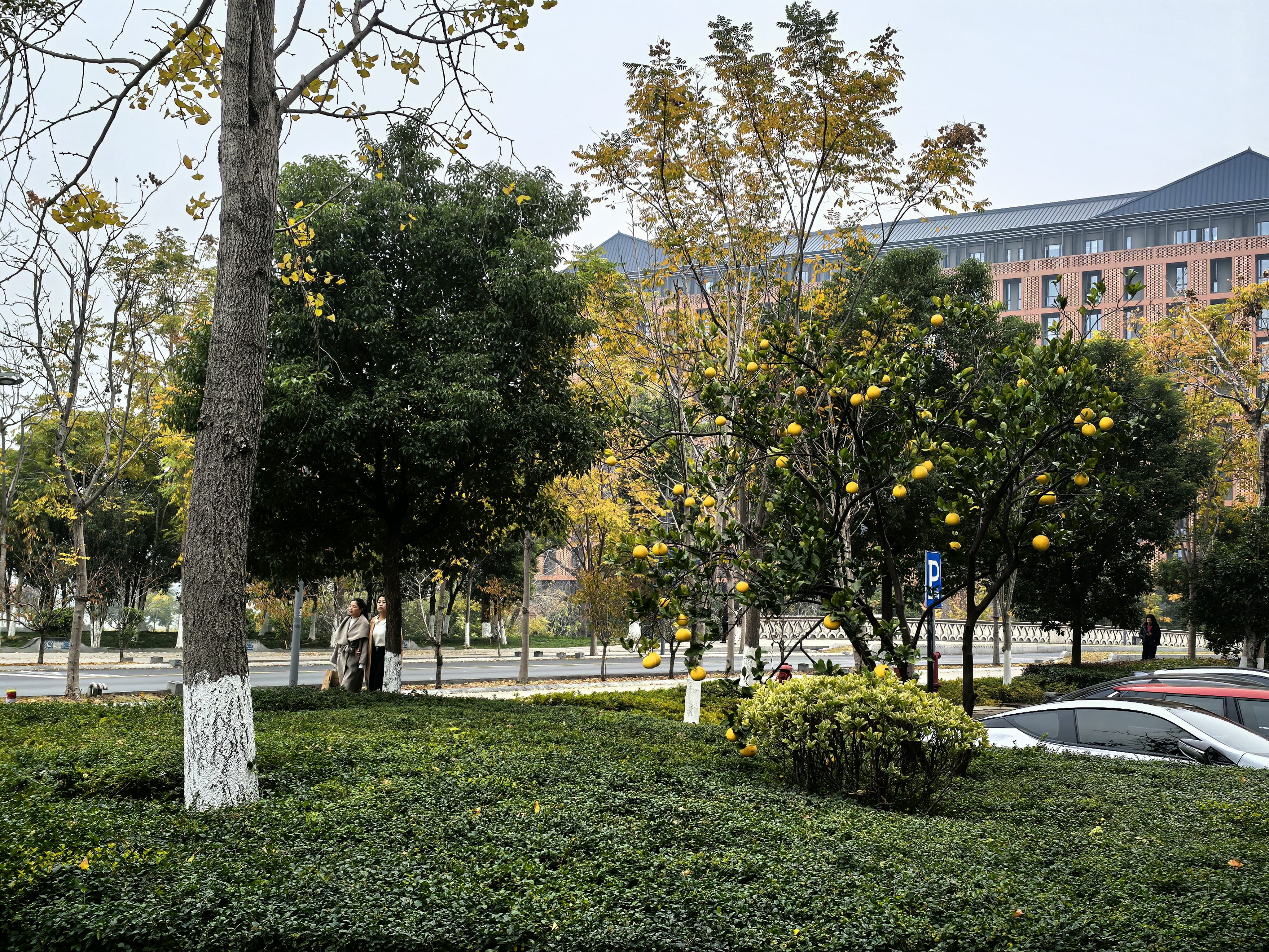 找吃喝玩乐搭子