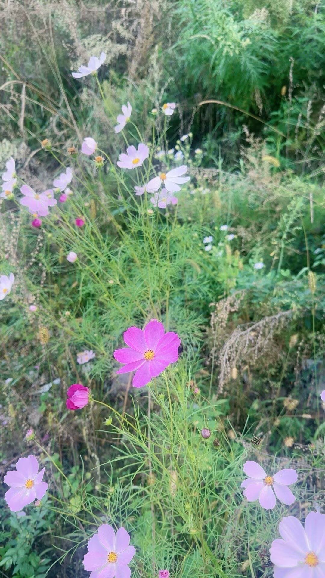 找外地工作搭子