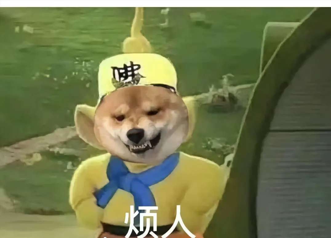 找旅游搭子