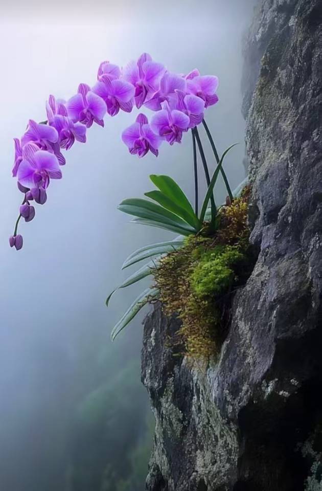找骑行搭子