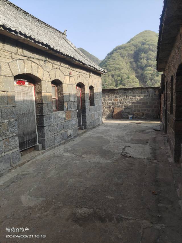 找旅行搭子