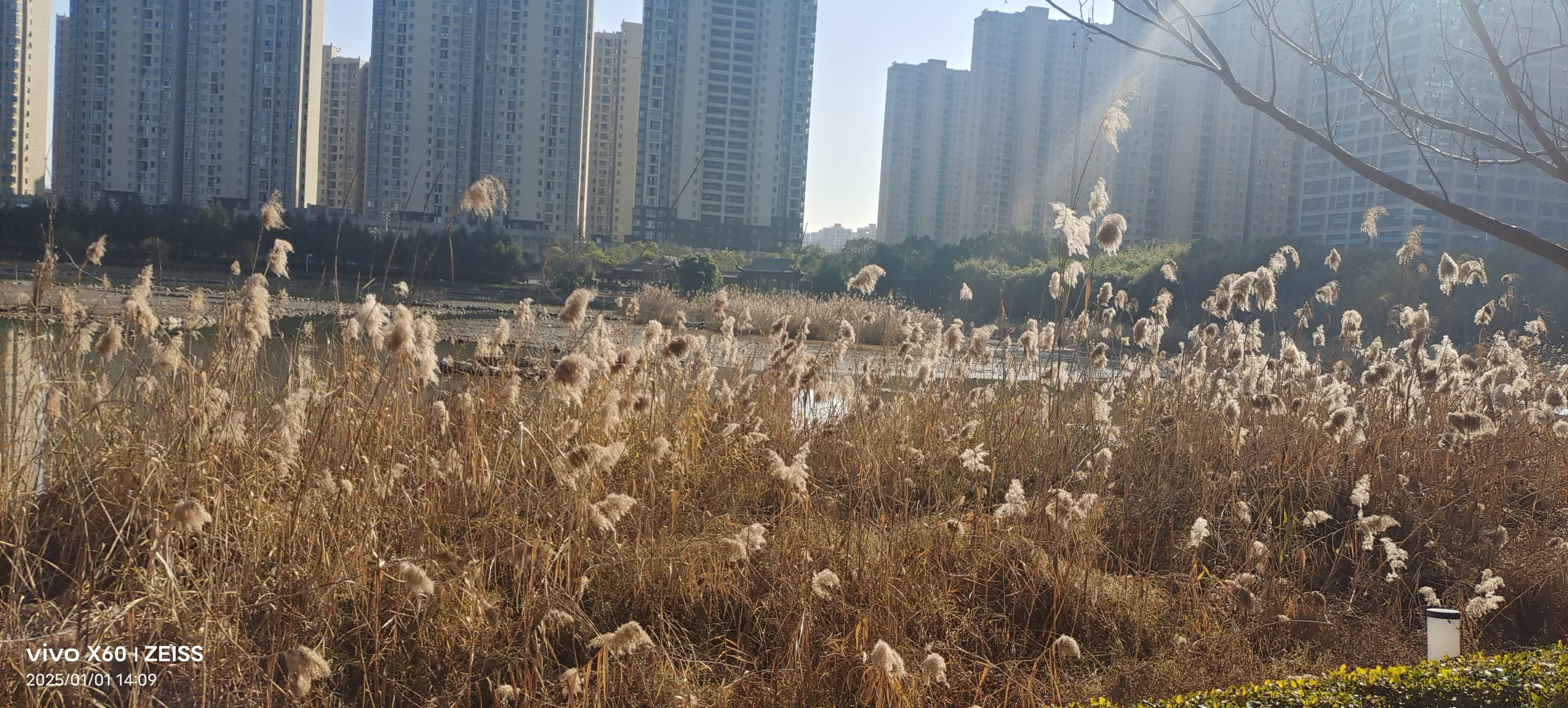 找散步搭子
