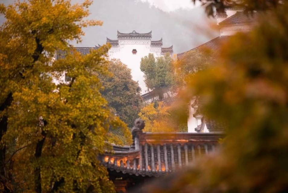 找运动搭子