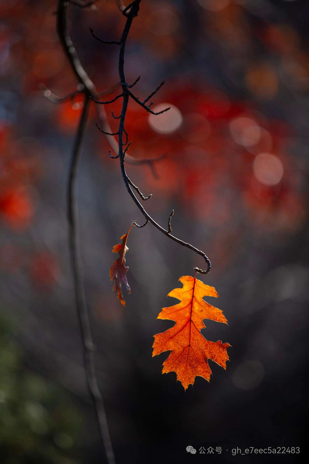 找电影爬山搭子