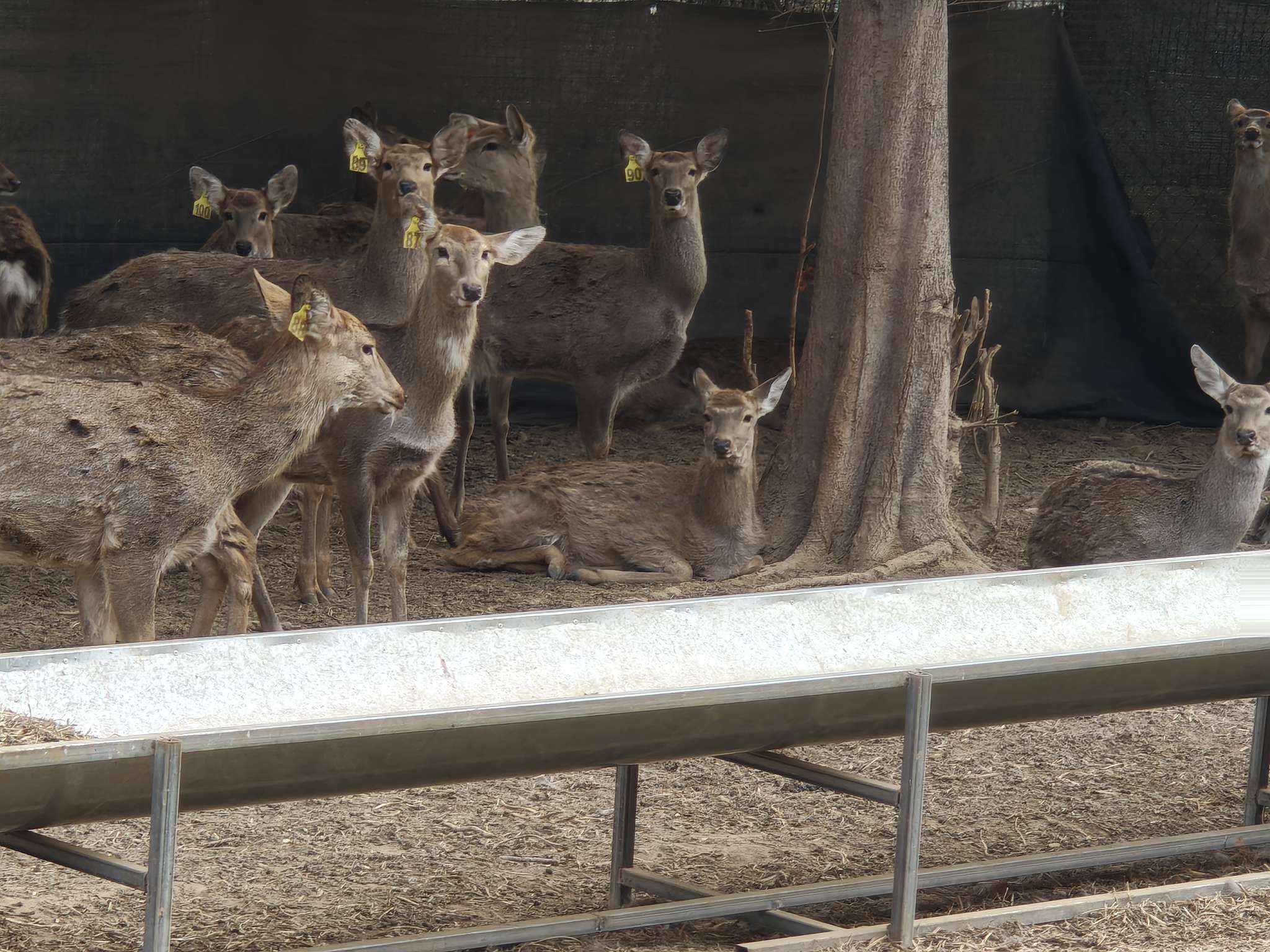 找打乒乓球搭子