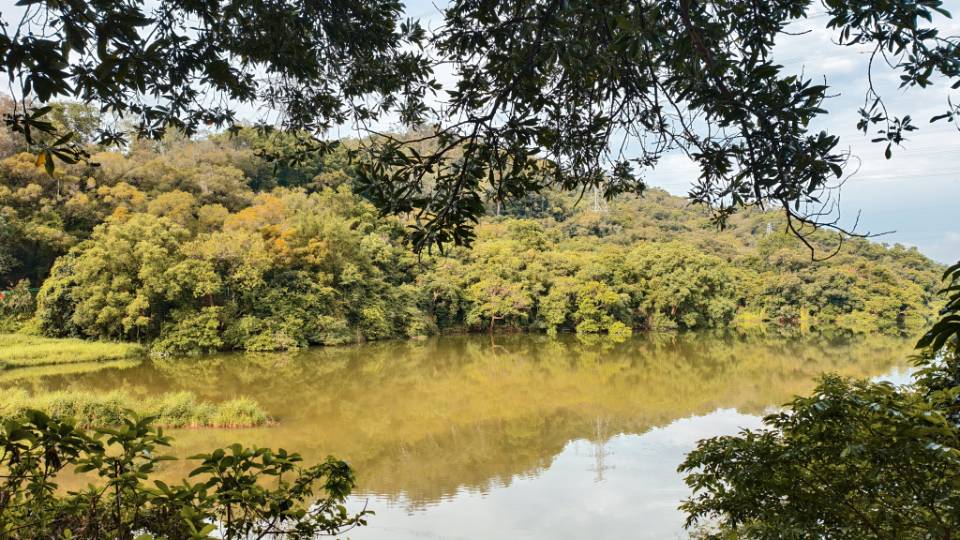 找约会旅行搭子