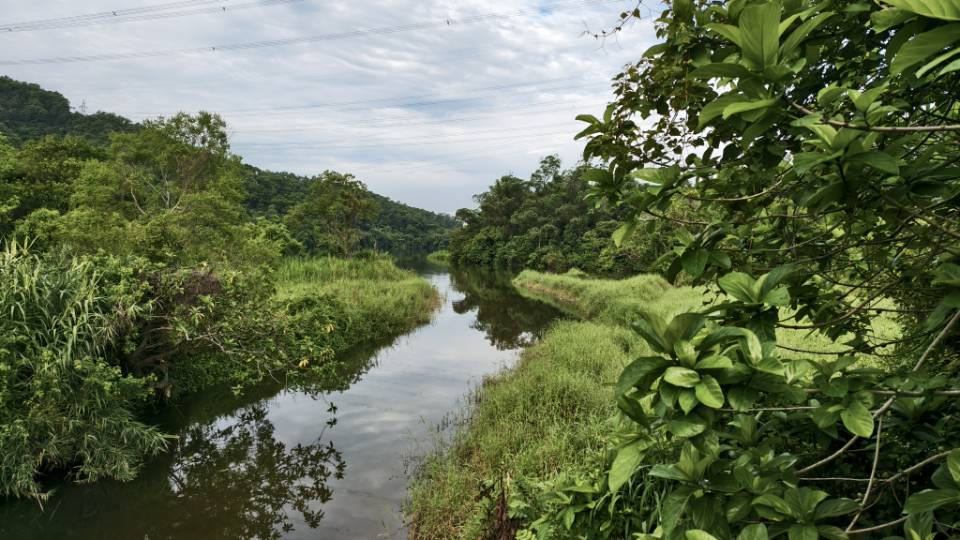 找约会旅行搭子
