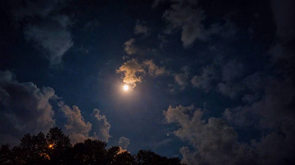 找放松身心搭子