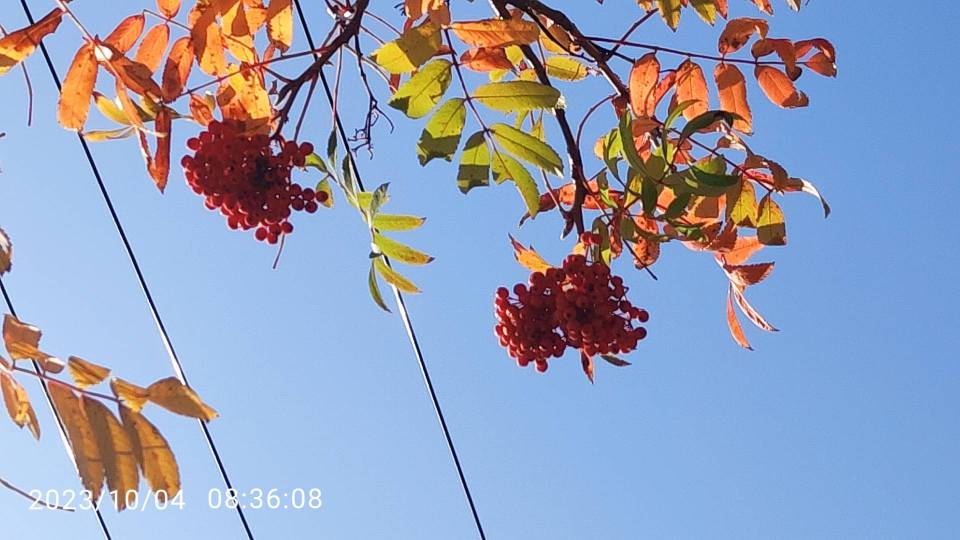 找旅行搭子