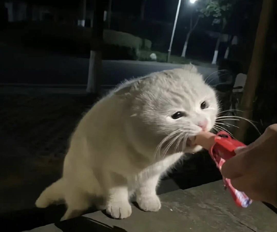 找打卡吃饭搭子