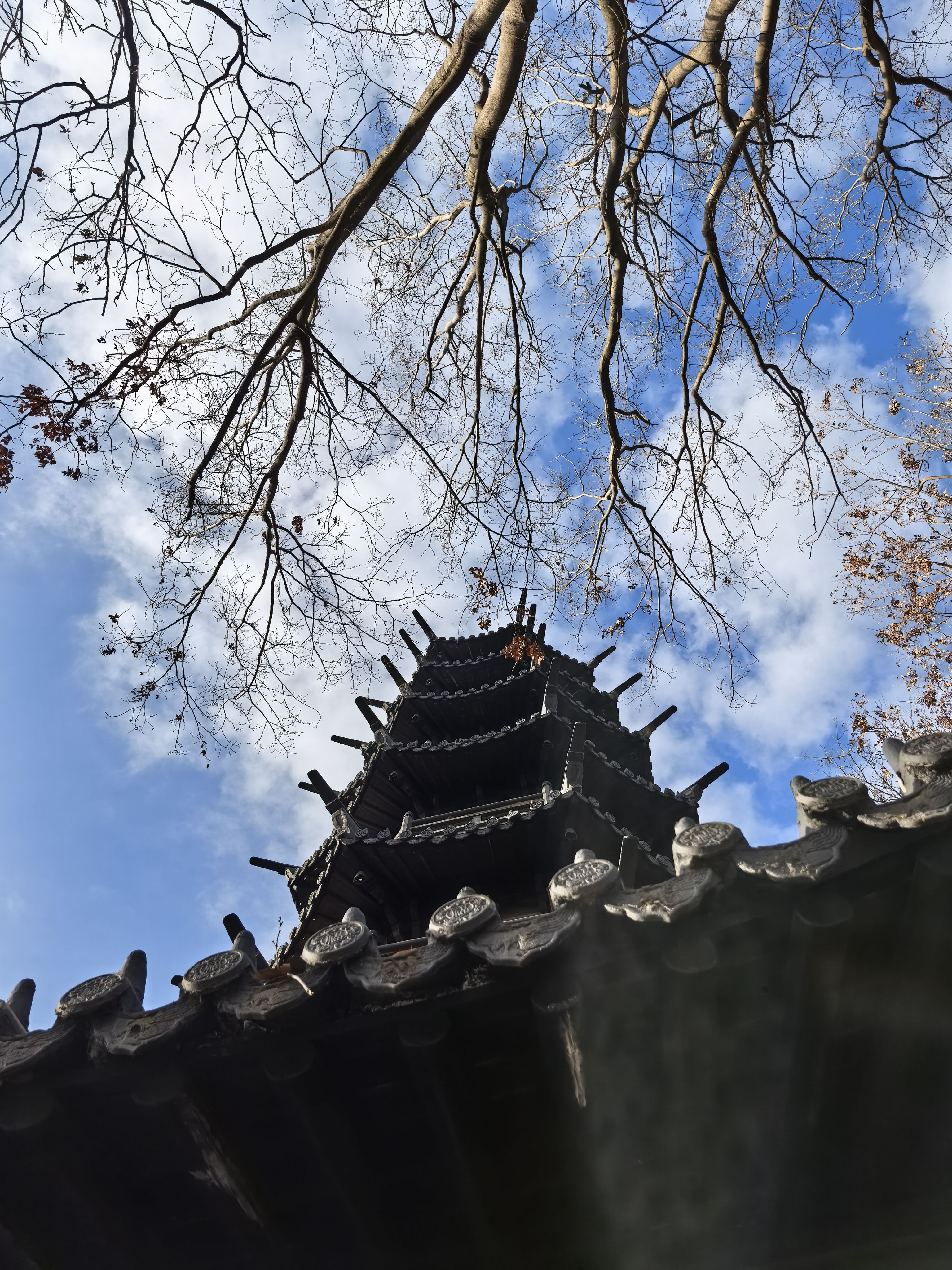 找旅行搭子