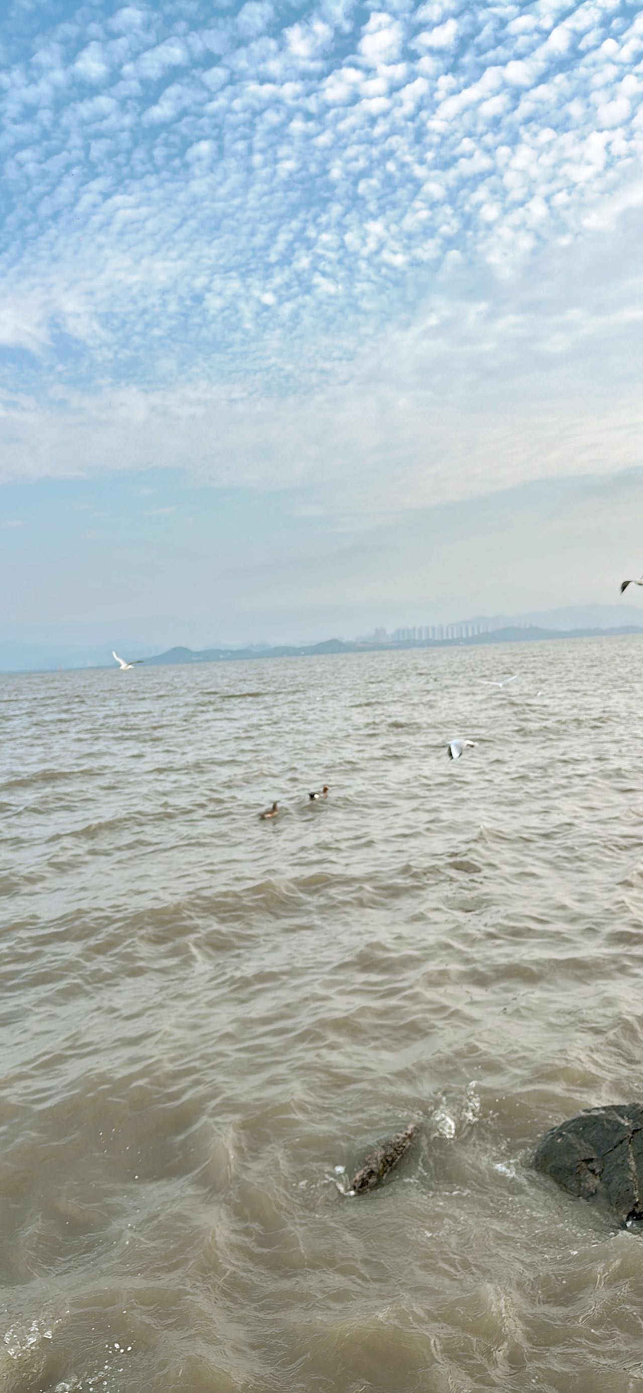 找旅行拼房打游戏搭搭子